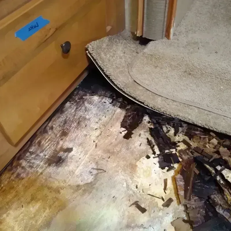 Wood Floor Water Damage in Madison Heights, MI